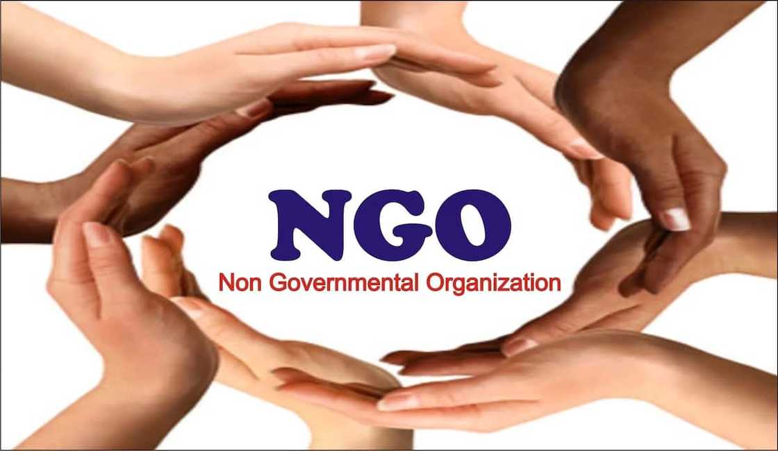 How to Register Your NGO in Kenya Online: Key Steps and Requirements